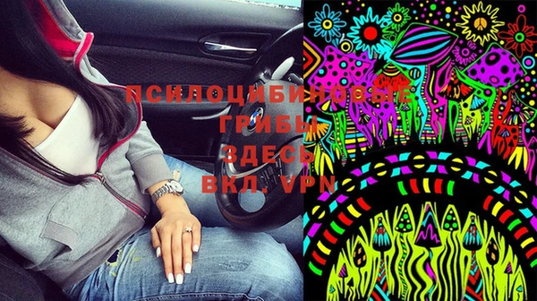 ПСИЛОЦИБИНОВЫЕ ГРИБЫ Алзамай