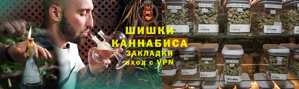 ПСИЛОЦИБИНОВЫЕ ГРИБЫ Алзамай
